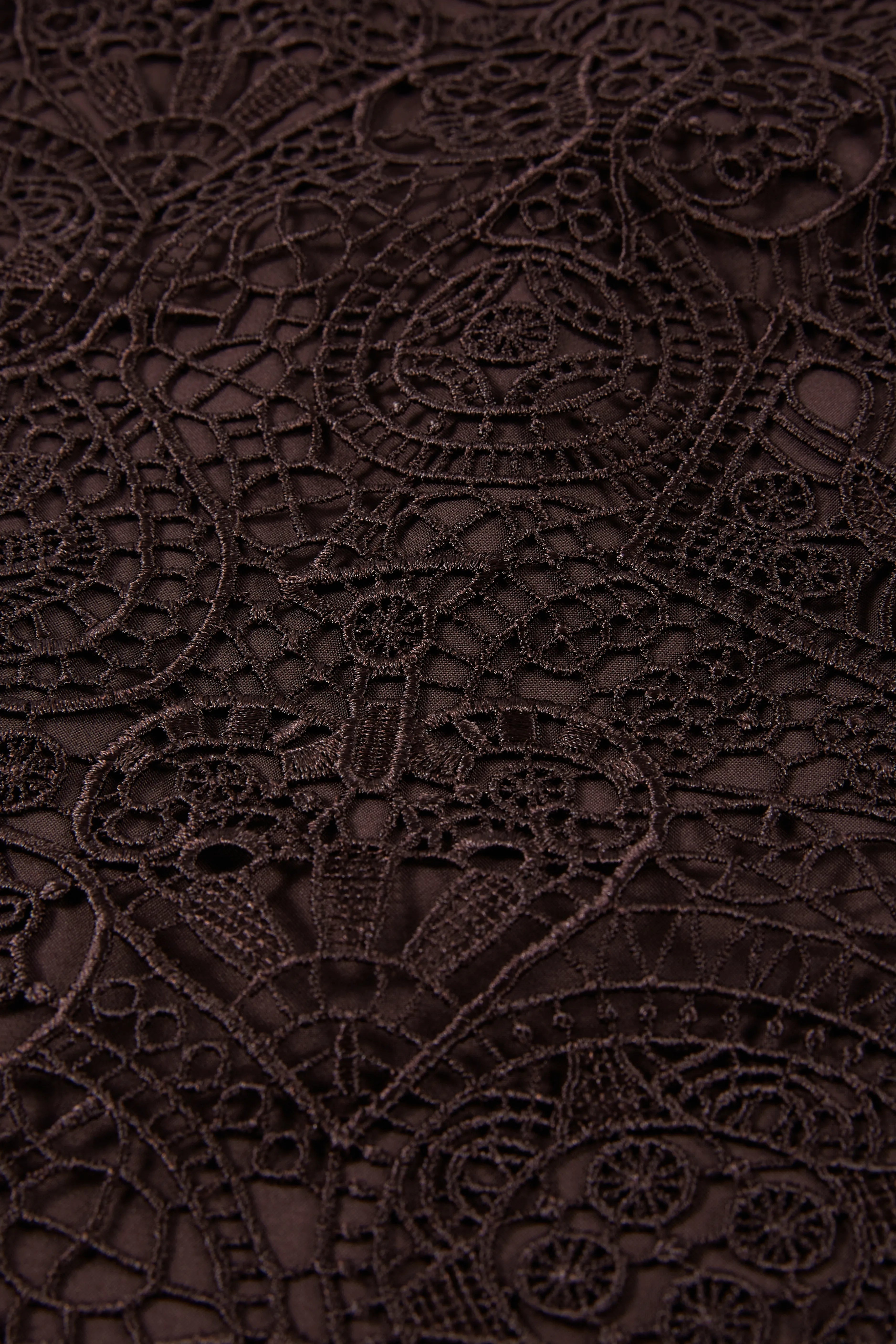 Espresso Lace Skirt