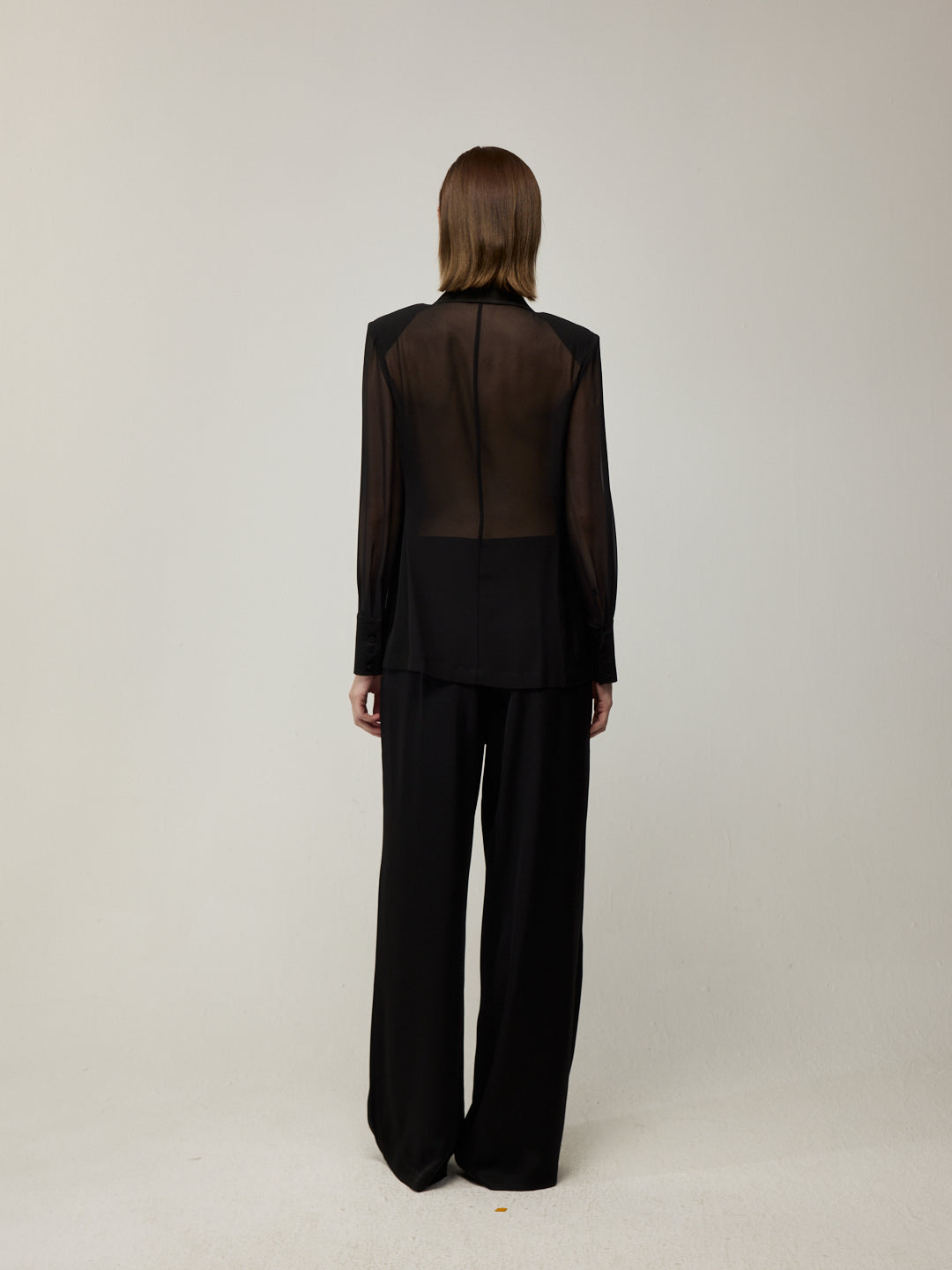 Lightweight Sheer Blazer and Drapery High-Waist Wide-Leg Trousers Set