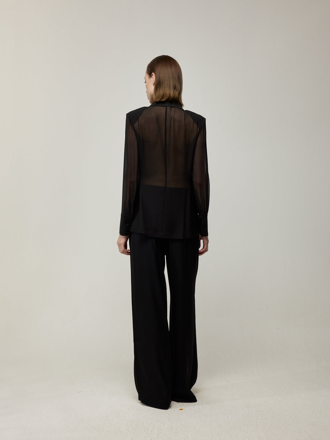 Lightweight Sheer Blazer and Drapery High-Waist Wide-Leg Trousers Set